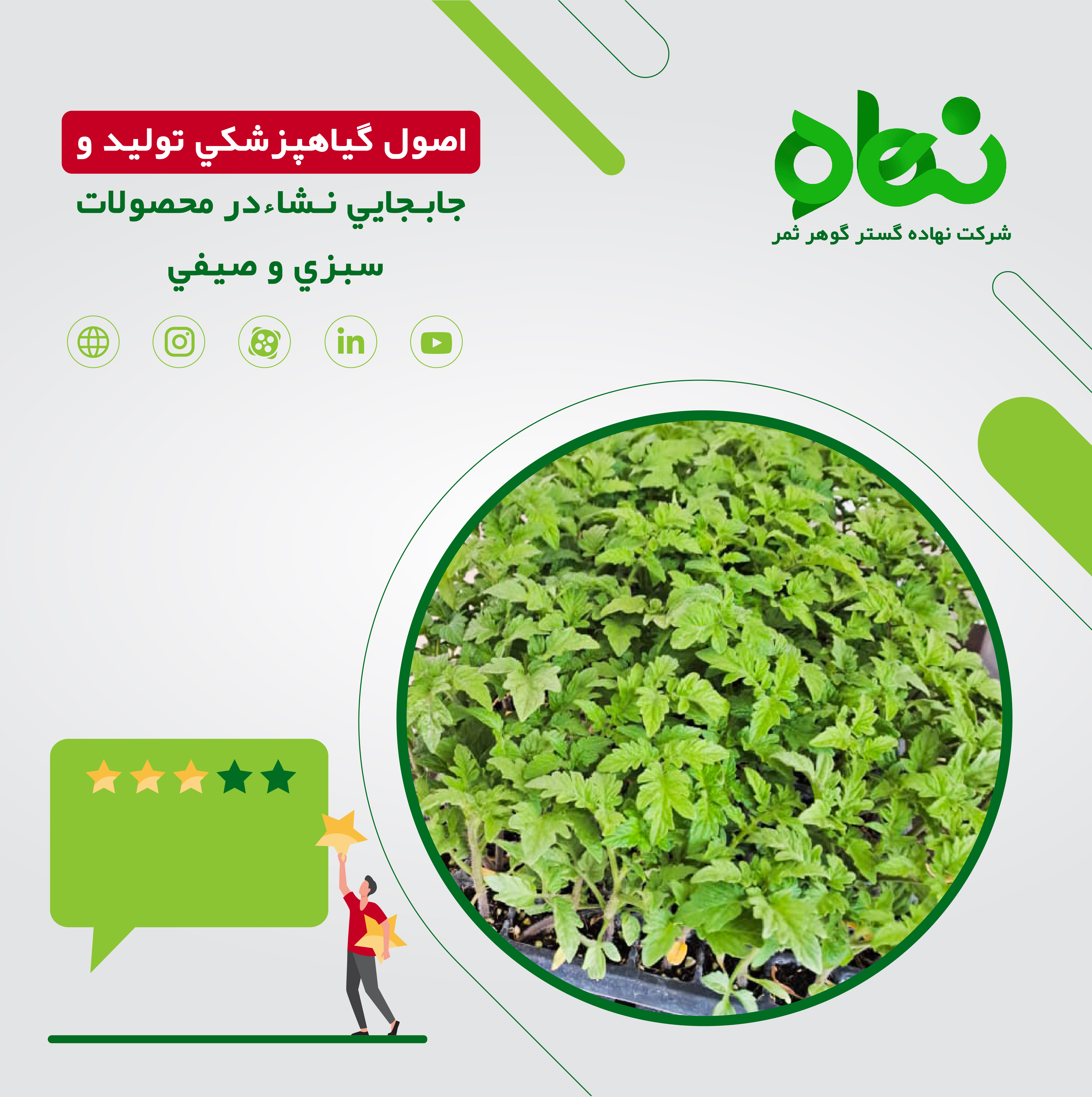 اصول تولید و جابه جایی نشا